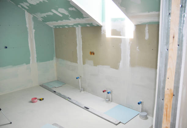 Best Residential Mold Inspection & Testing  in USA
